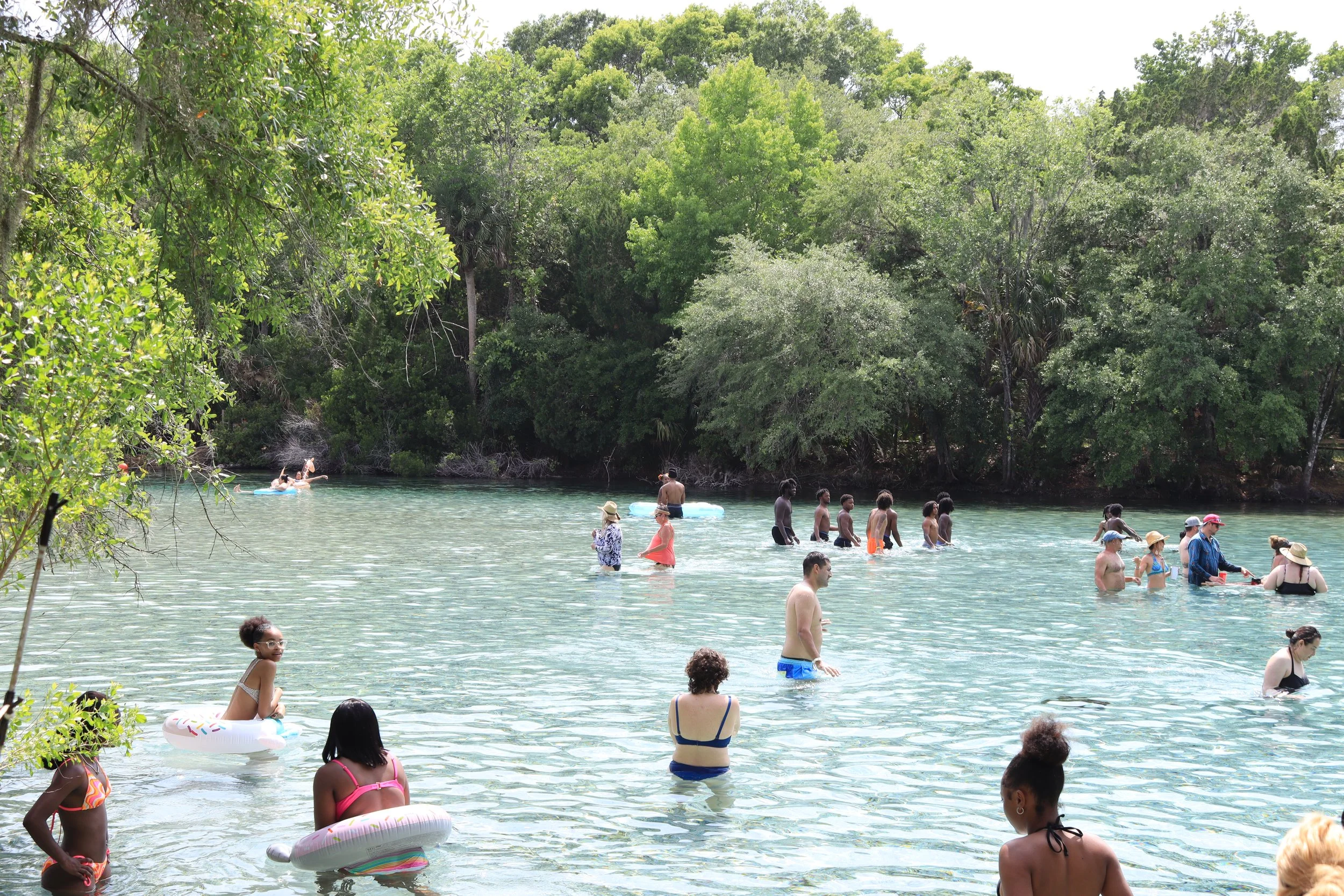 Silver Glen Springs Recreation Area — Naventure